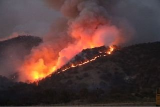 Controlan incendio en Bosque de la Primavera en Jalisco