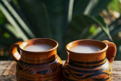 La bebida sagrada de los dioses Mexicas &ldquo;El Pulque&rdquo;