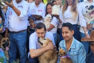 Armenta a favor del bienestar animal en la pr&aacute;ctica