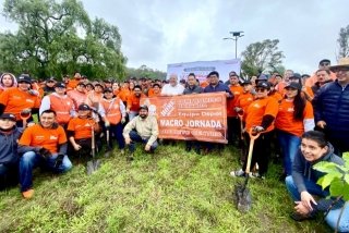 Refuerza Gobierno de la Ciudad acciones ambientales con dos jornadas de plantaci&oacute;n de &aacute;rboles en esta semana