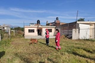 Colabora gobierno de San Andr&eacute;s en labores de b&uacute;squeda de Samantha Escalona
