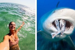 Turista pierde ambas manos: &ldquo;en un intento de tomar fotograf&iacute;as&rdquo; con un tibur&oacute;n