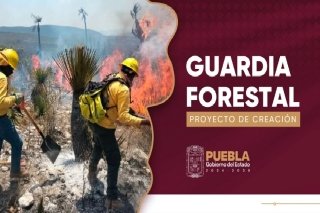 Prevenci&oacute;n y combate de incendios, tareas de la Guardia Forestal del Estado