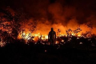 Siguen las llamas: incendios forestales en Europa han arrasado con m&aacute;s de 500 mil hect&aacute;reas