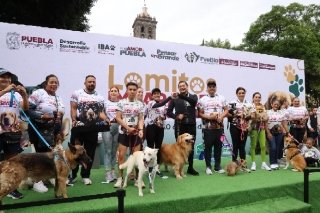 Por amor y seguridad: Puebla corre con sus lomitos contra el maltrato animal