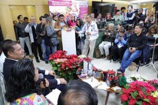 Gobierno de Puebla potencia producci&oacute;n de Nochebuena y consolida a Atlixco como l&iacute;der nacional