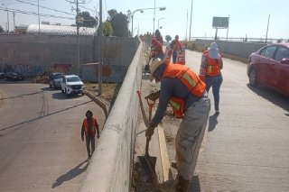 En unidad, gobierno y poblaci&oacute;n dignifican a Puebla con faenas y tequio