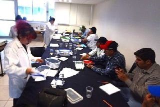 Lanza Granjas Carroll iniciativa de control biol&oacute;gico con Crisopas