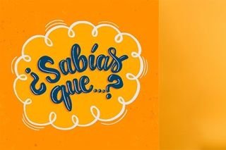 Curiosidades que te har&aacute;n volar la cabeza&nbsp;