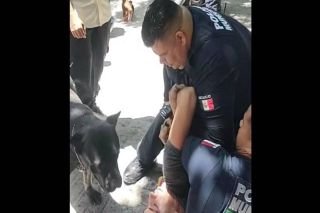 Polic&iacute;as de Torre&oacute;n someten a hombre porque su perro se meti&oacute; a una fuente