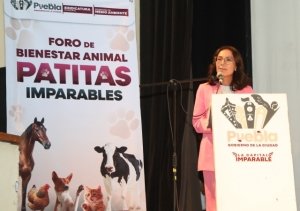 Por el bienestar animal el Gobierno de la Ciudad realiz&oacute; el foro participativo "Patitas Imparables"