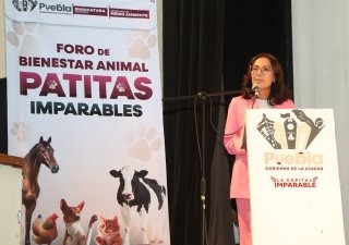Por el bienestar animal el Gobierno de la Ciudad realiz&oacute; el foro participativo "Patitas Imparables"