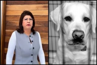 Esc&aacute;ndalo en Edomex: Senadora admite sacrificio de perros en Tec&aacute;mac; activistas denuncian "matanza sistem&aacute;tica"