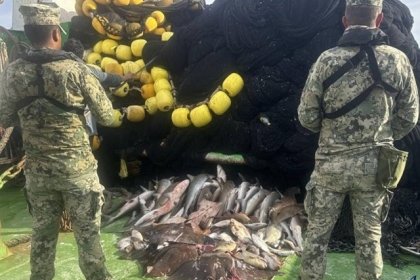 Decomisan Agricultura y Marina m&aacute;s de 4 mil toneladas de pesca ilegal en 6 meses