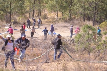 Controlado el incendio en Vicente Guerrero, est&aacute; liquidado al 90%: Protecci&oacute;n Civil