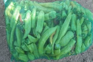 Alertan a la poblaci&oacute;n en Arco Norte por comida contaminada