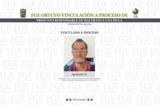 FGE obtuvo vinculaci&oacute;n a proceso de presunto responsable de maltrato a una mula