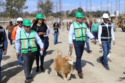 Avanza construcci&oacute;n de Centro de Bienestar Animal; dignificar&aacute; atenci&oacute;n de seres sintientes