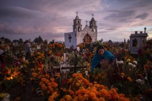 La Simbolog&iacute;a del altar de muertos: El lenguaje sagrado de la ofrenda