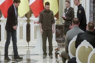 Por detectar m&aacute;s de 200 bombas, perro recibe medalla del presidente de Ucrania