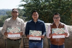 El Gobierno de la Ciudad se suma a la Campa&ntilde;a Verde Navidad 2024 para reciclar &aacute;rboles naturales de temporada
