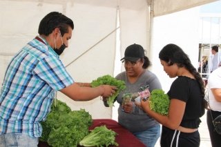Impulsa Gobierno de la Ciudad uni&oacute;n de los tres niveles de gobierno para combatir la pobreza: Carlos G&oacute;mez